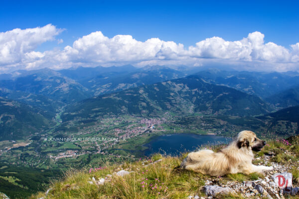 Projekti za razvoj zajednice u opštini Plav