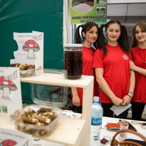 Youth Entrepreneurship Fair