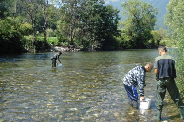 Opremljeni mušičarski reviri u regionu