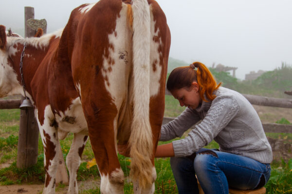 Invisible Women of Montenegro
