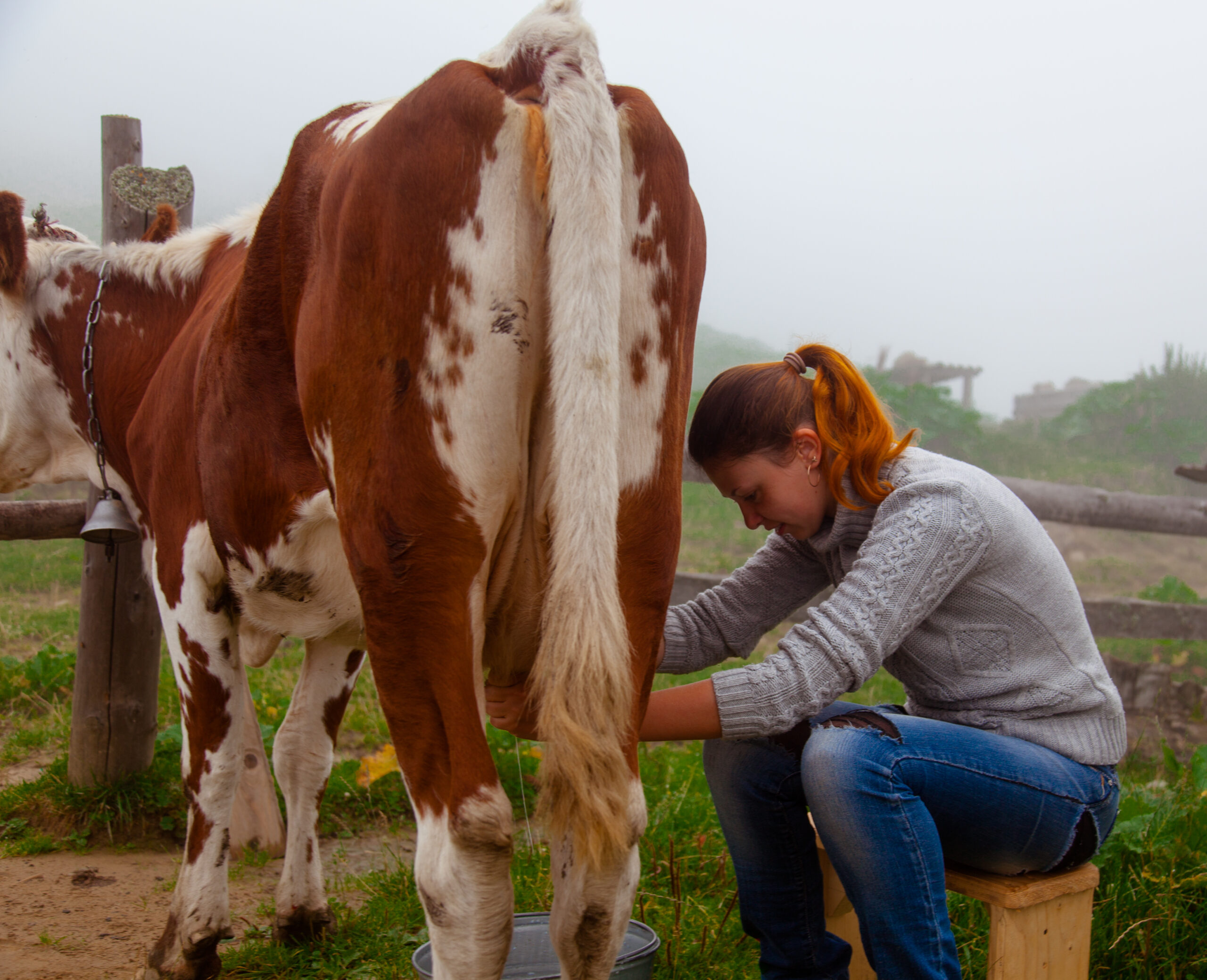 Nevidljive žene Crne Gore