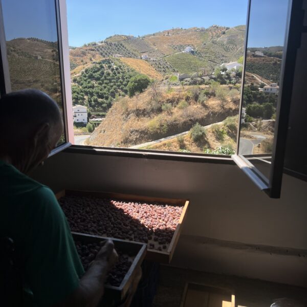 RRA BKP učestvovala na sastanku Upravnog odbora i studijskoj posjeti u okviru projekta MED GIAHS u regiji Axarquía (Málaga, Španija) 1