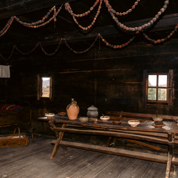 Kulturni i prirodni potencijali u fokusu rute DANUBE WOOD(s) 7
