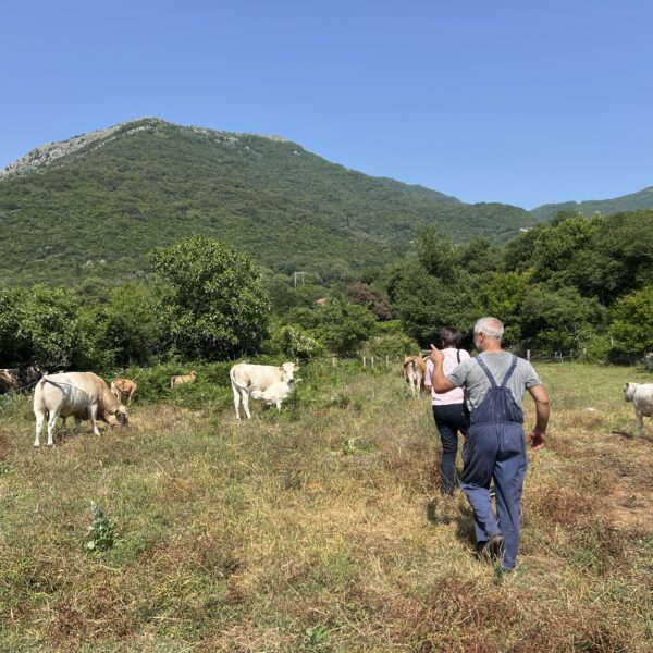 Projekat „Podrška poljoprivrednim praksama usmjerenim ka očuvanju i zaštiti biodiverziteta“ 2