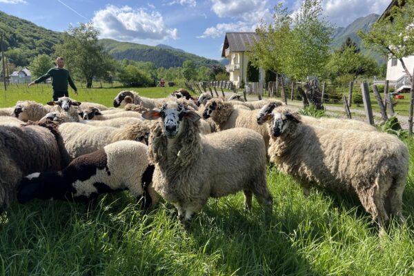 Projekat „Podrška poljoprivrednim praksama usmjerenim ka očuvanju i zaštiti biodiverziteta“ 4