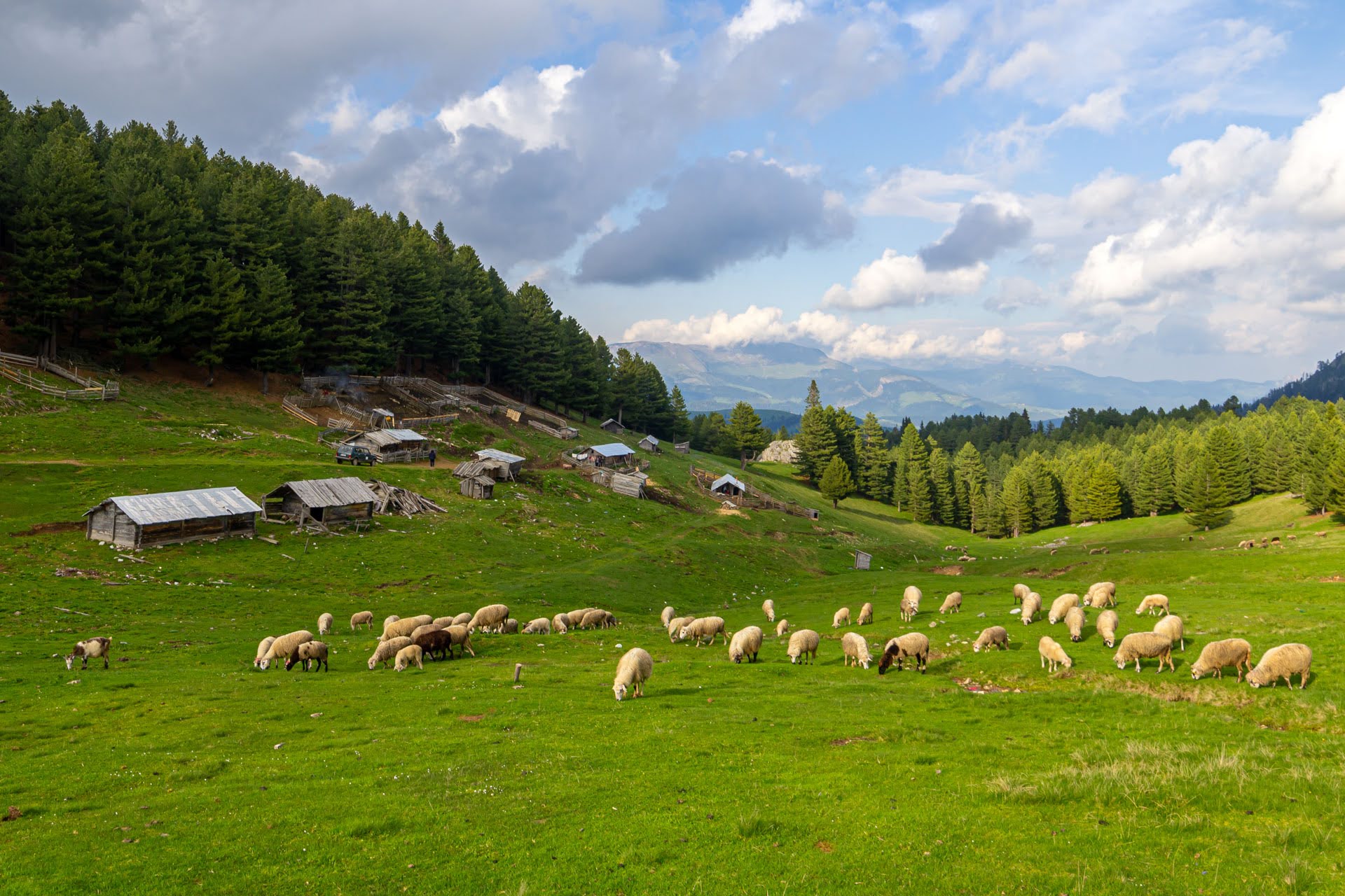 Budućnost je u autentičnosti: Zašto vjerujem u veliki uspon seoskog turizma