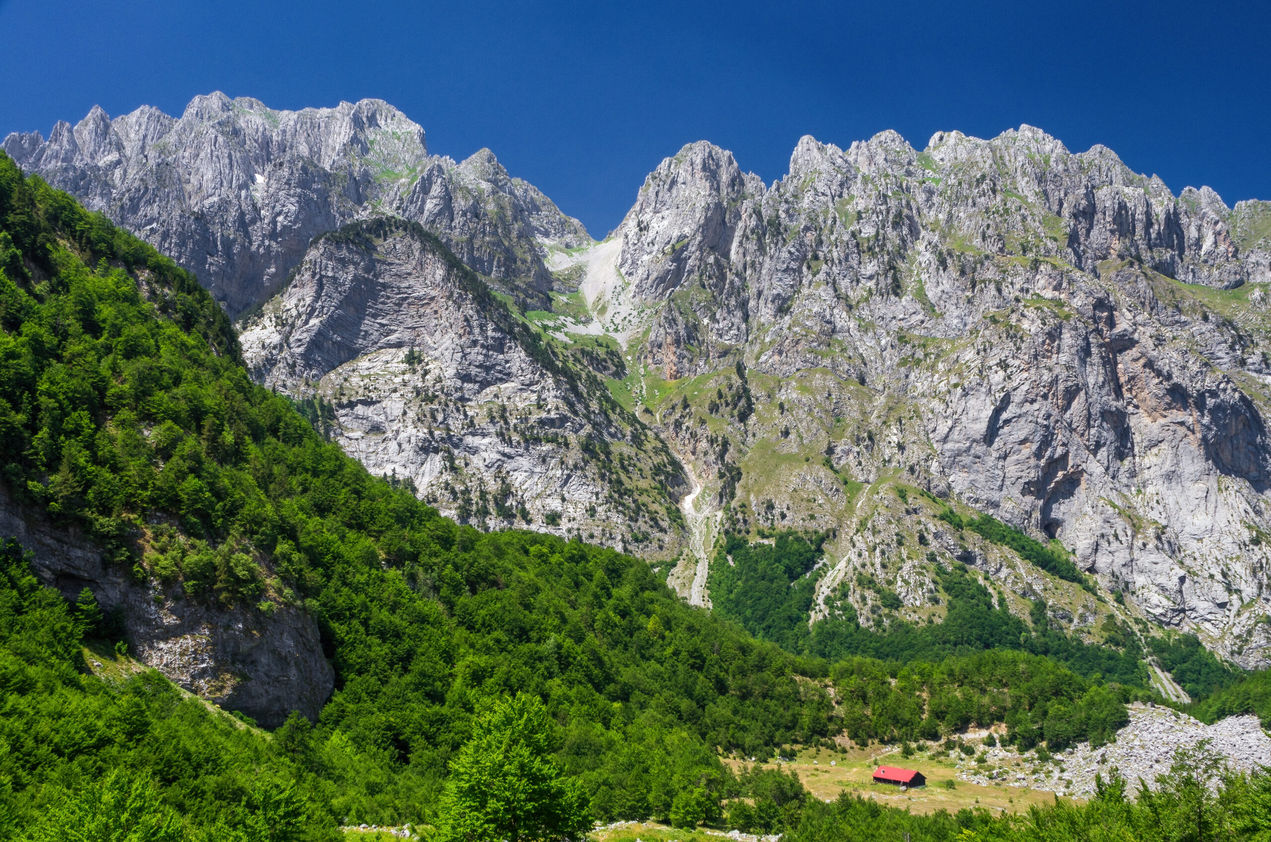 Galerija fotografija