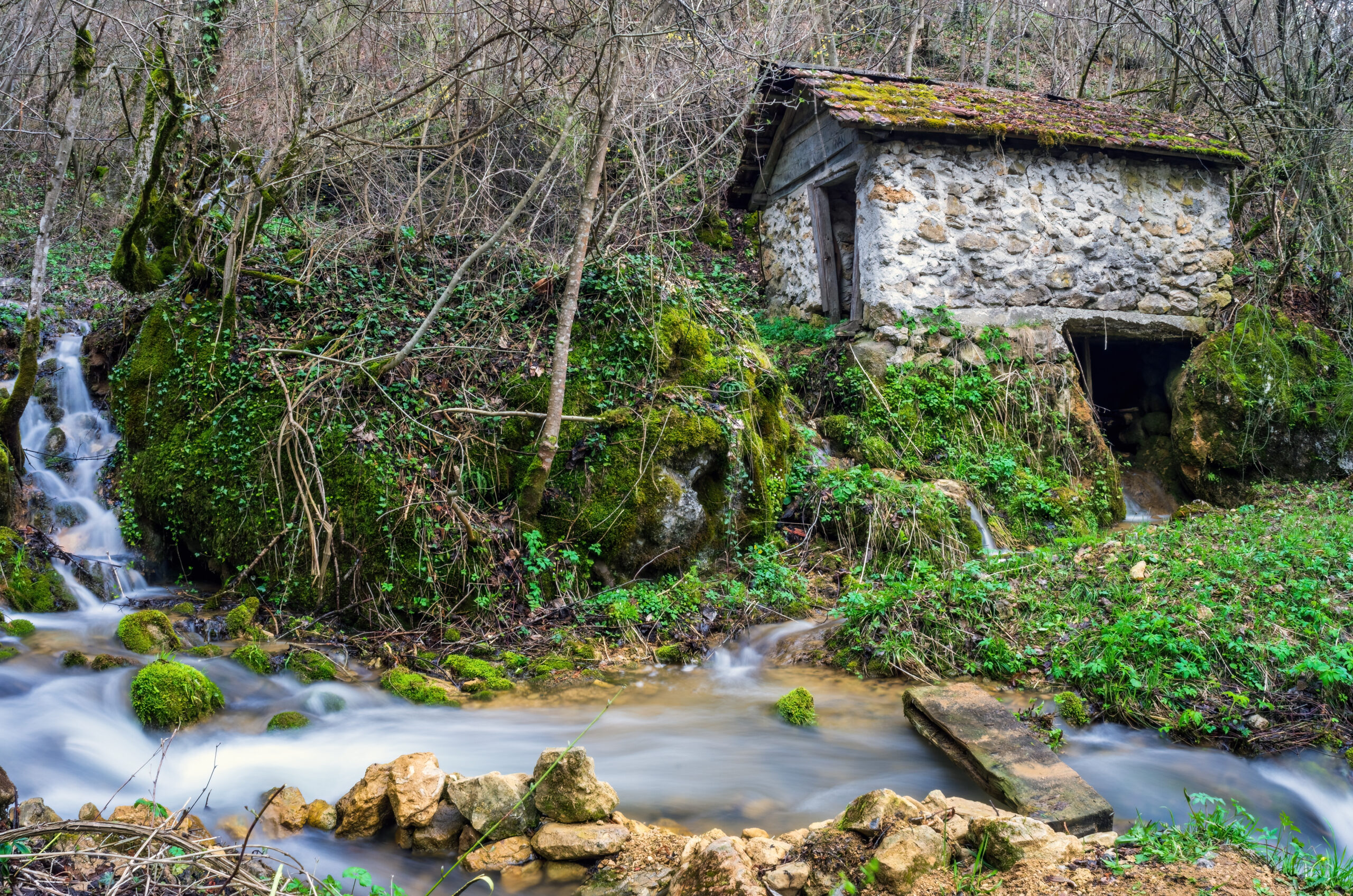 Galerija fotografija