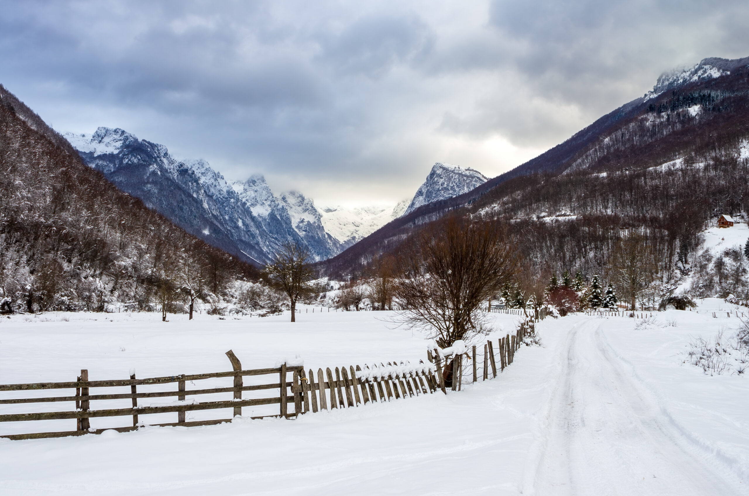 Galerija fotografija