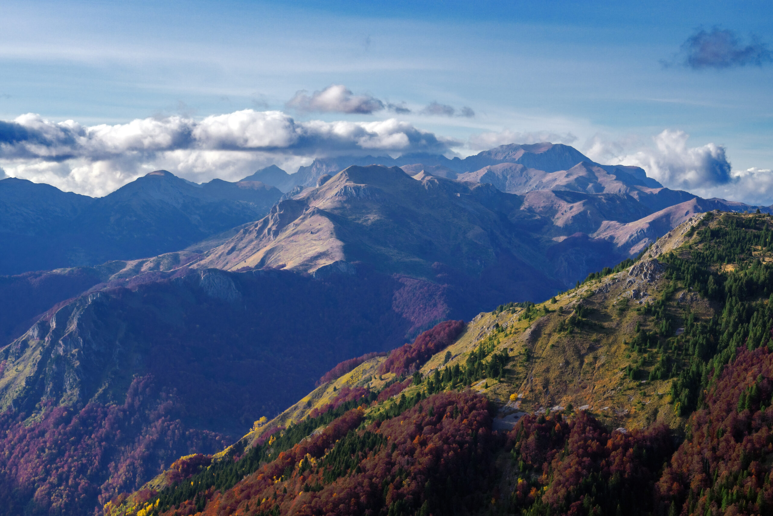 Galerija fotografija