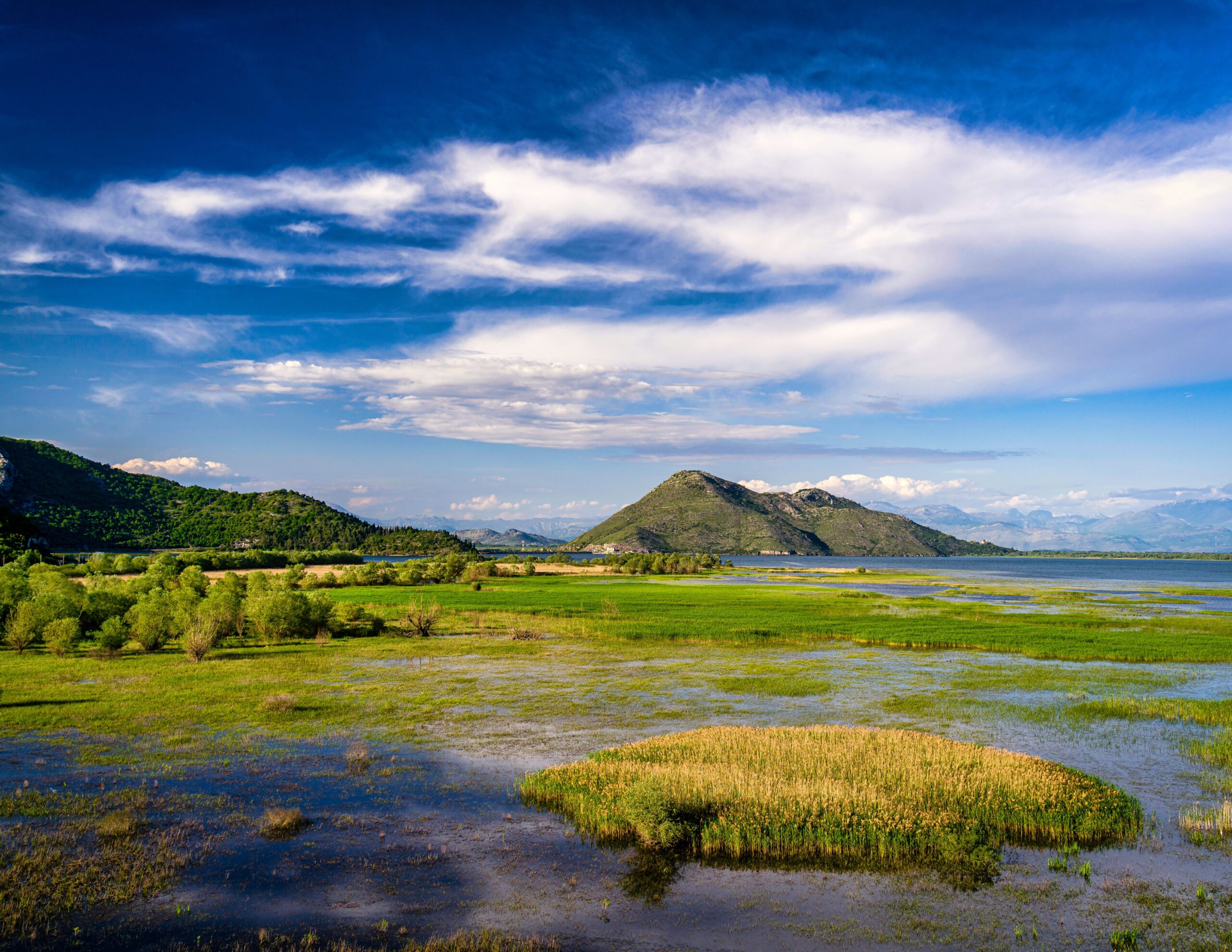 Galerija fotografija