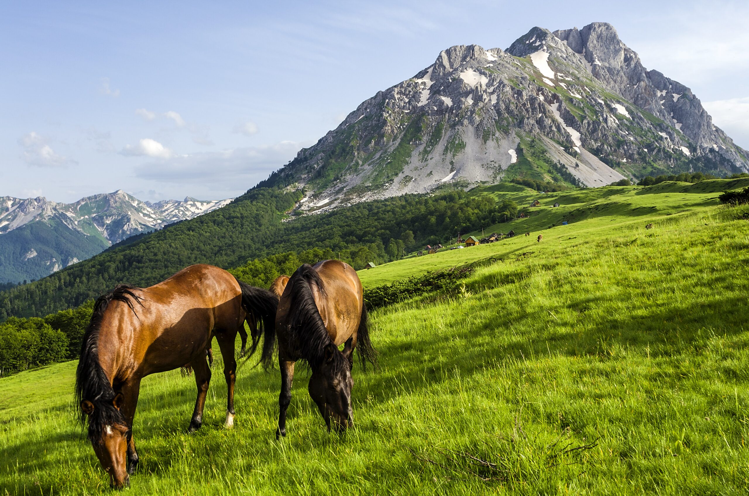 Priča o katunima: Srce i duša crnogorskih planina