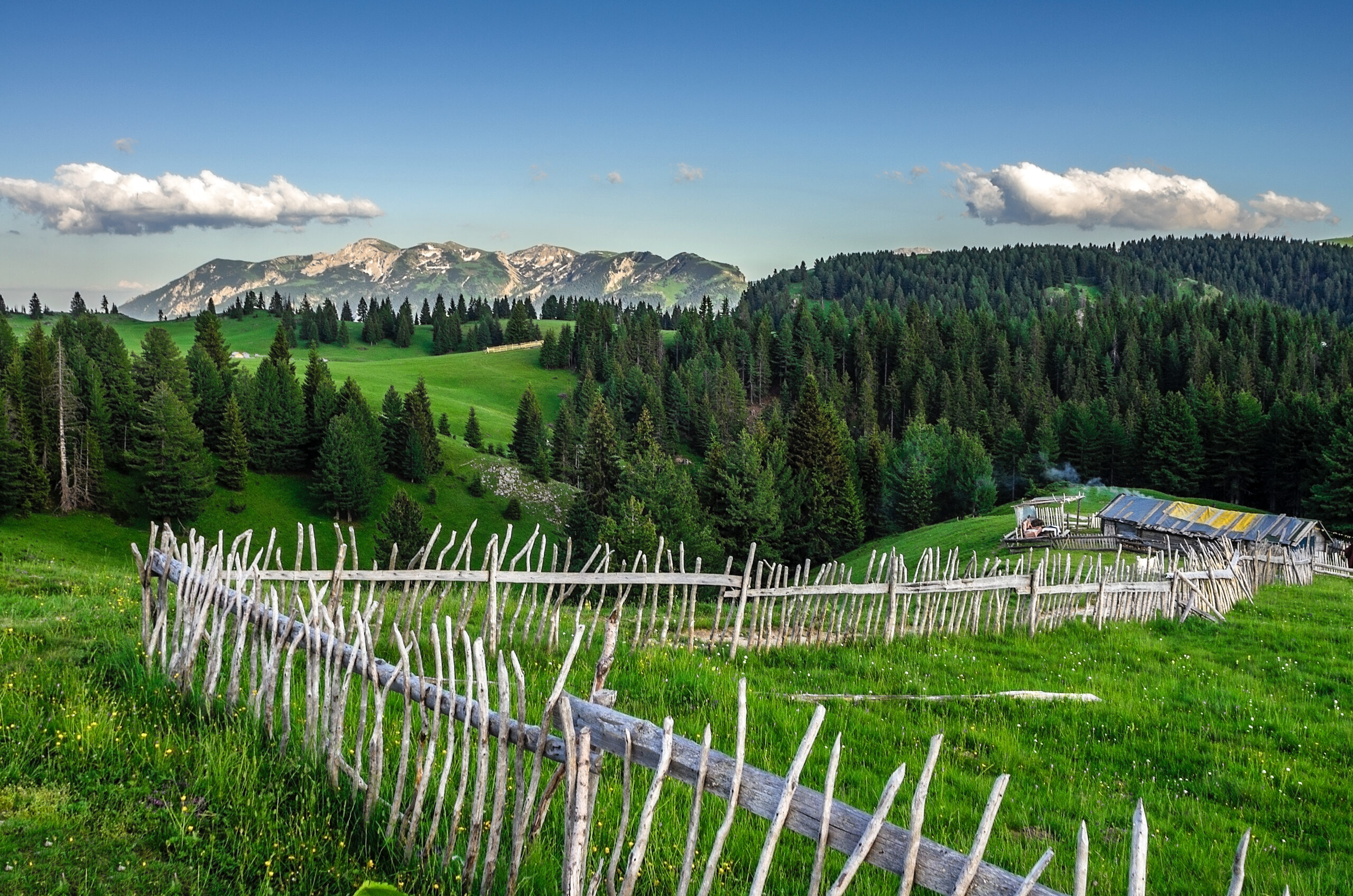 Priča o katunima: Srce i duša crnogorskih planina