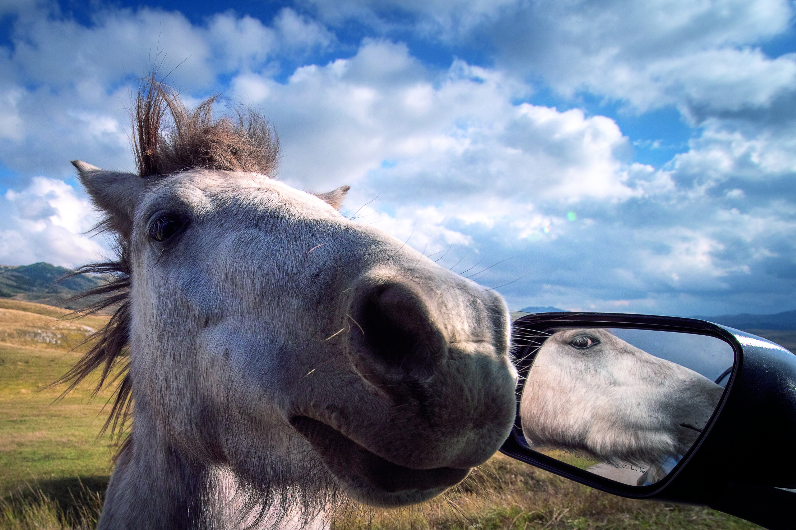 Priča o katunima: Srce i duša crnogorskih planina