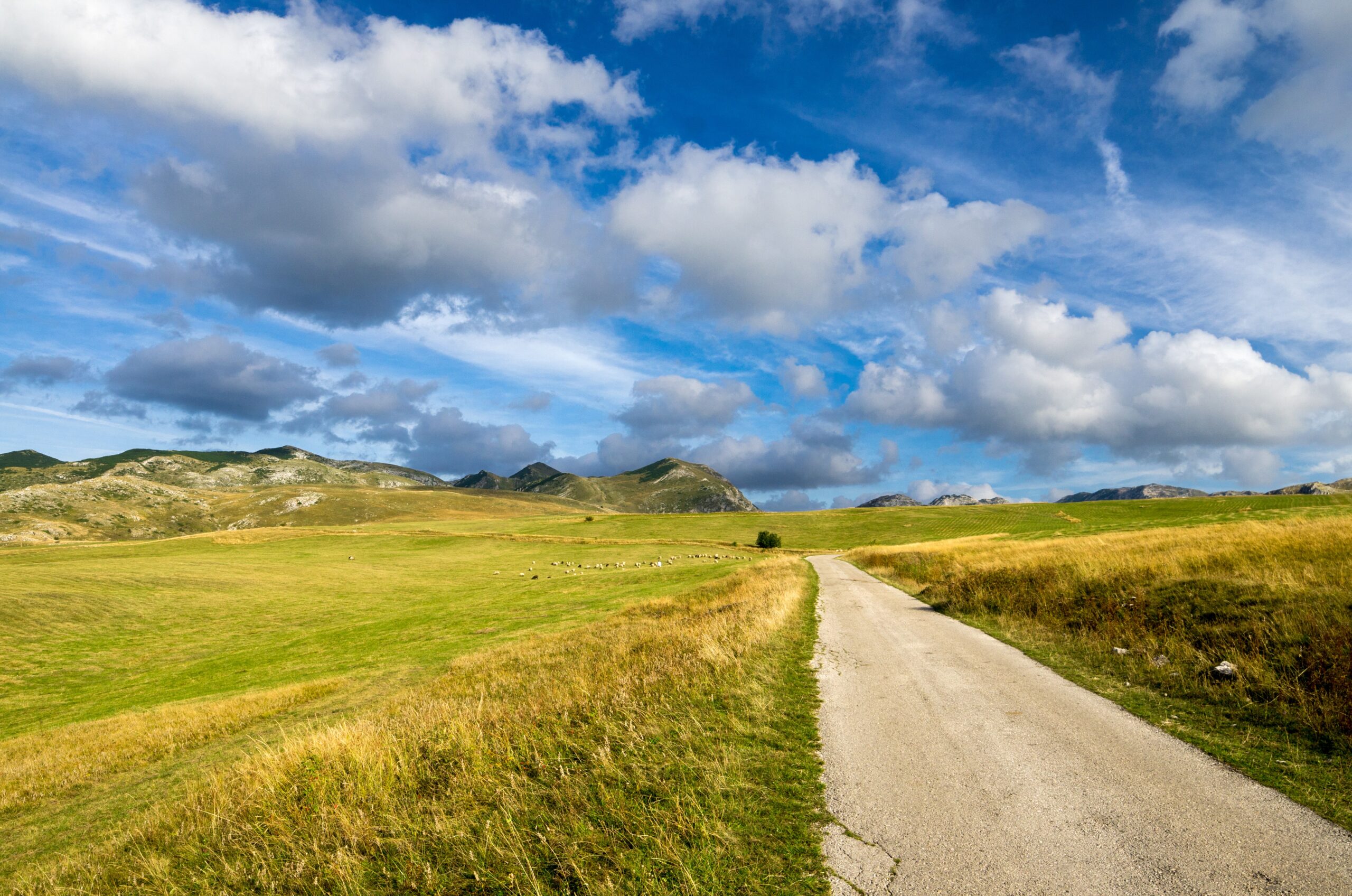 Priča o katunima: Srce i duša crnogorskih planina