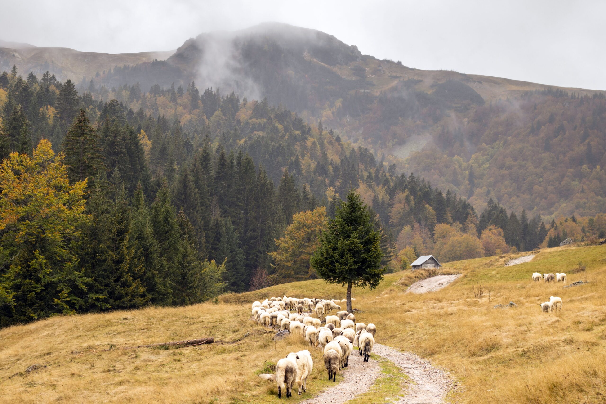 A New Tourism Offer of Kosovo and Montenegro 2020–2022