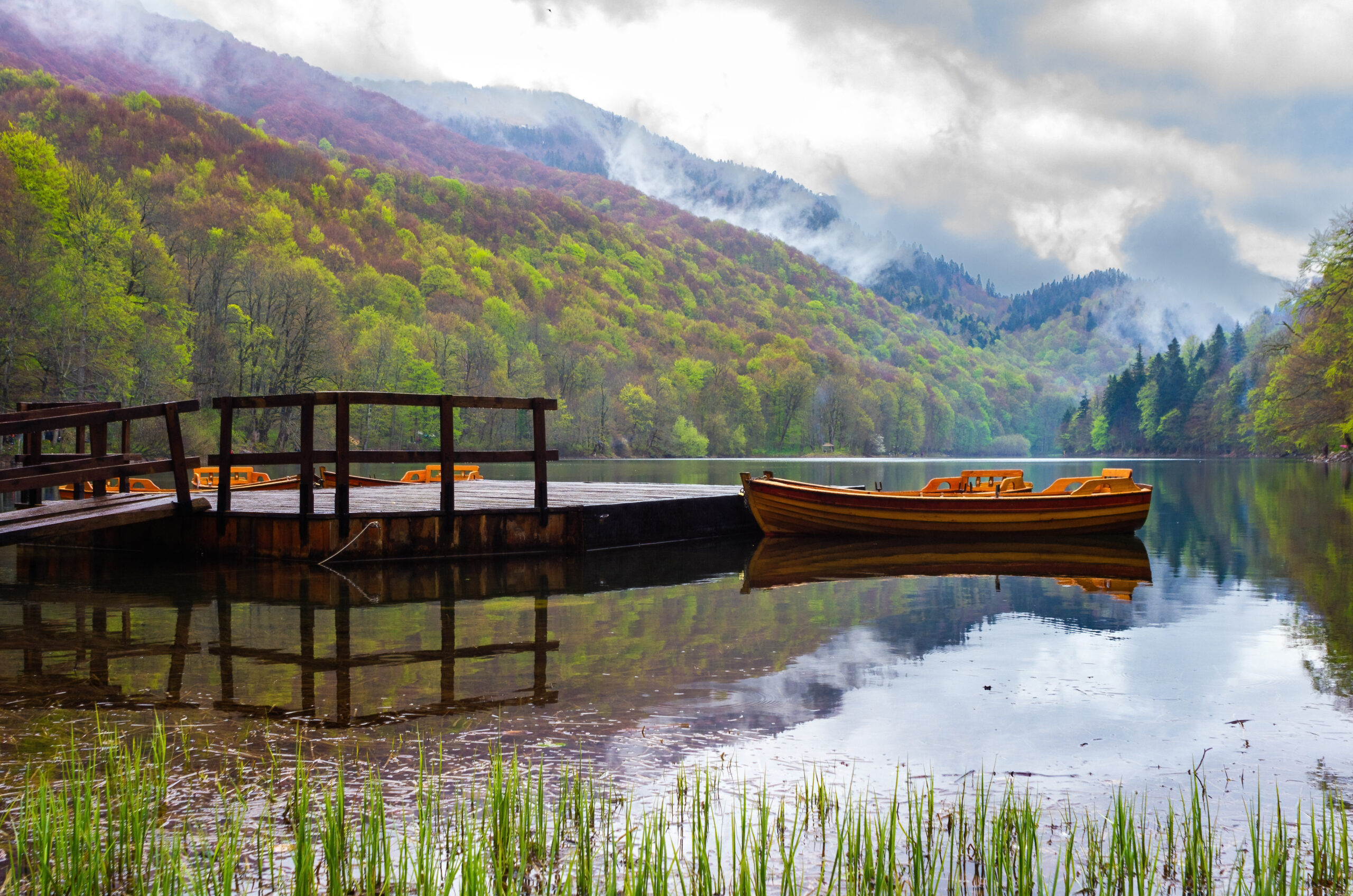 Galerija fotografija