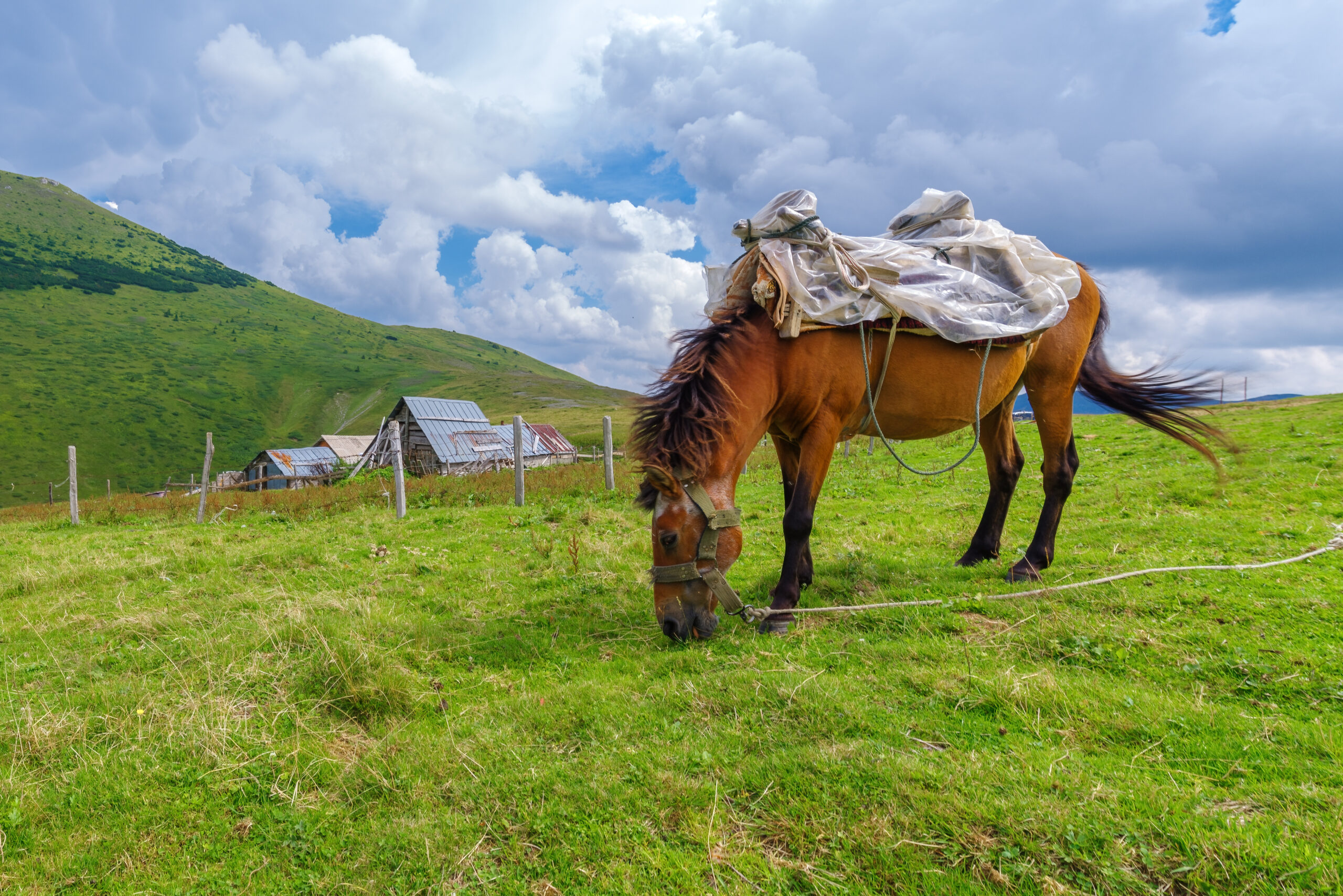 Galerija fotografija