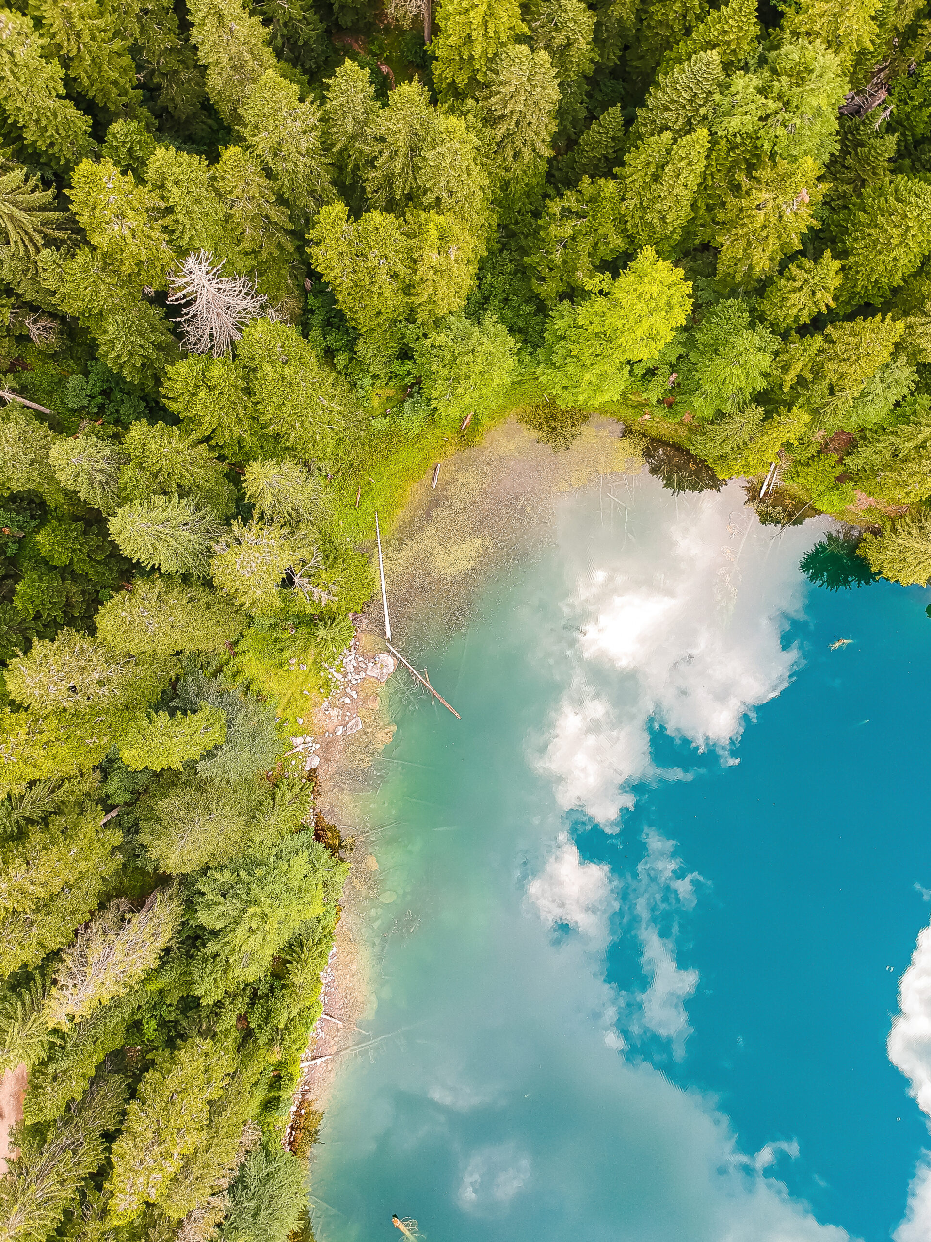 Galerija fotografija