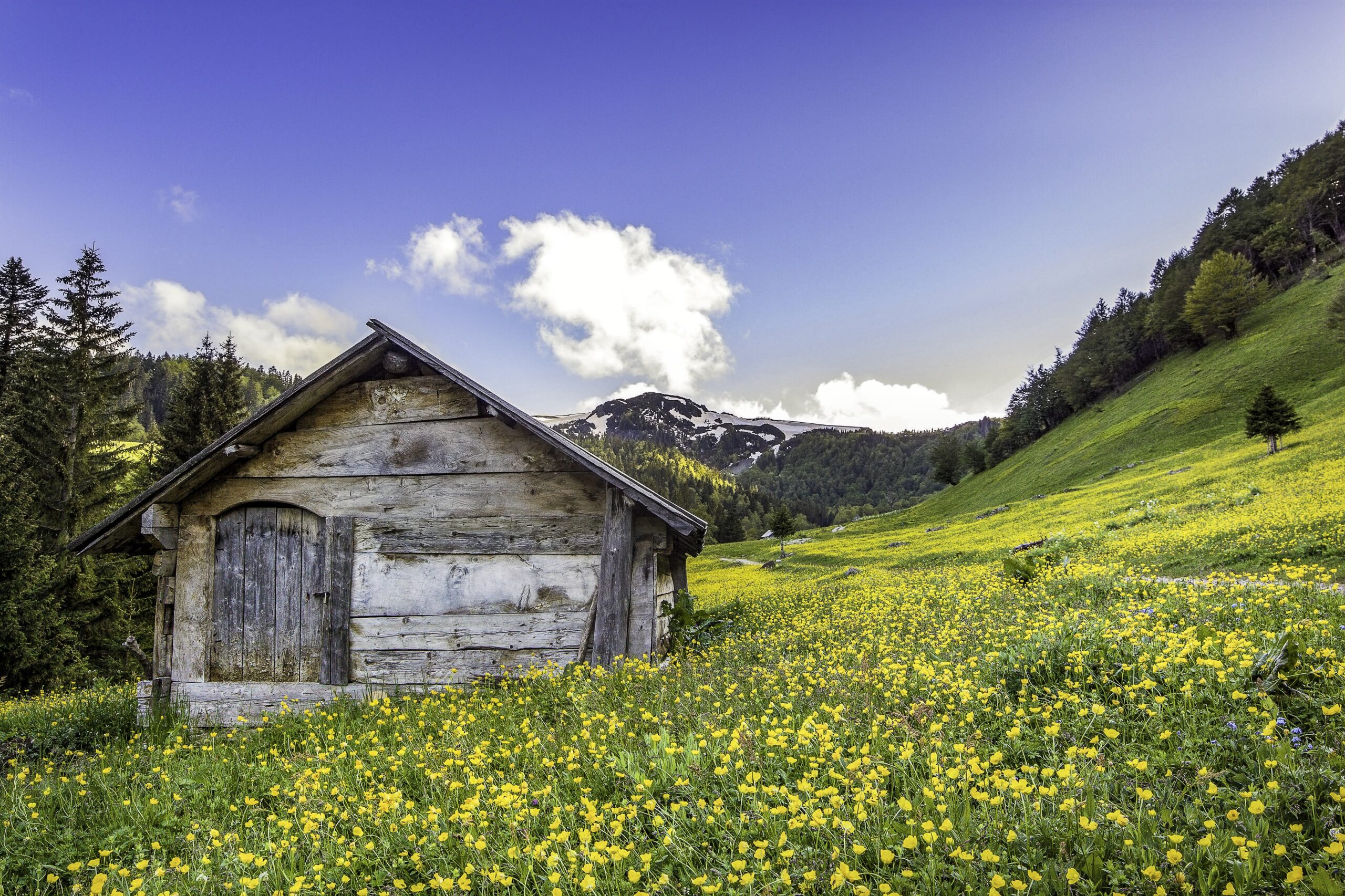 Galerija fotografija