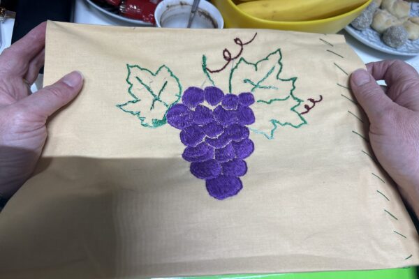 Traditional Embroidery Workshops Held within the Danube Crafts Project