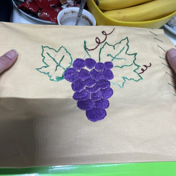 Održane radionice tradicionalnog veza u okviru projekta DanubeCrafts