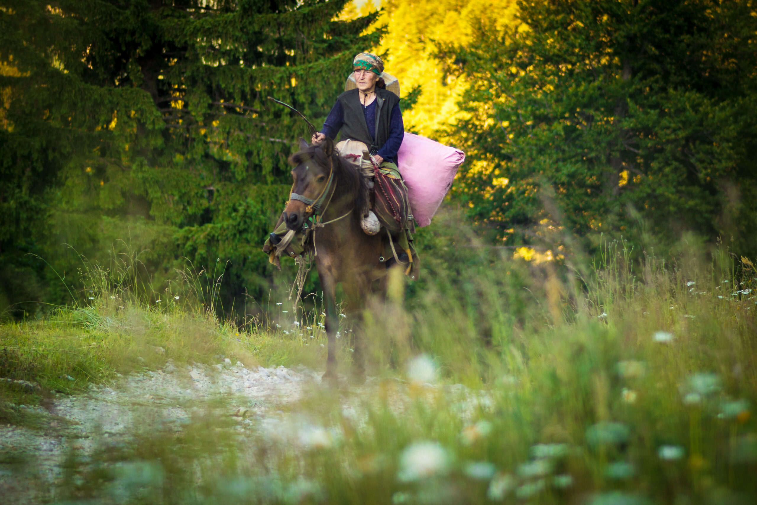 Galerija fotografija