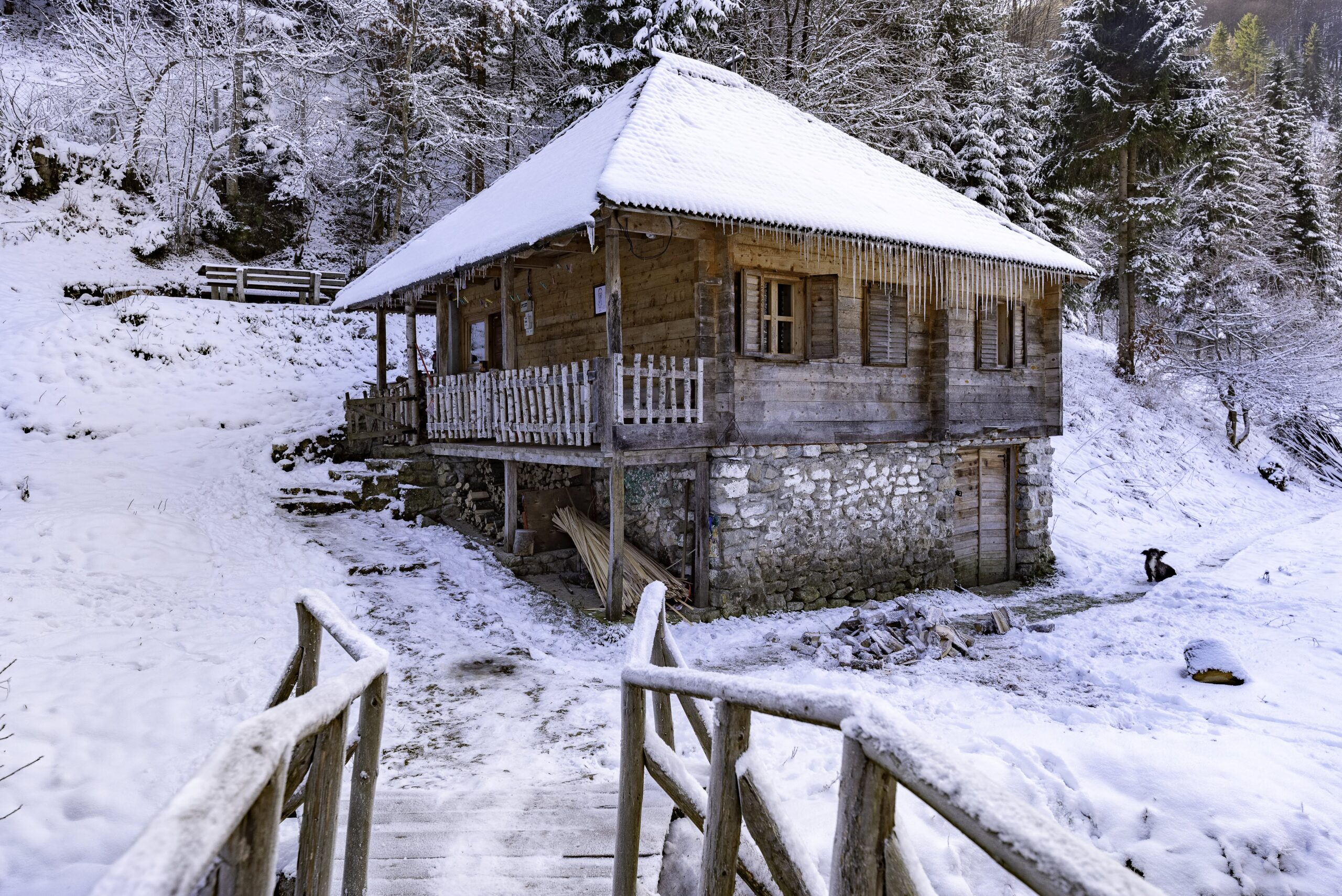 Galerija fotografija