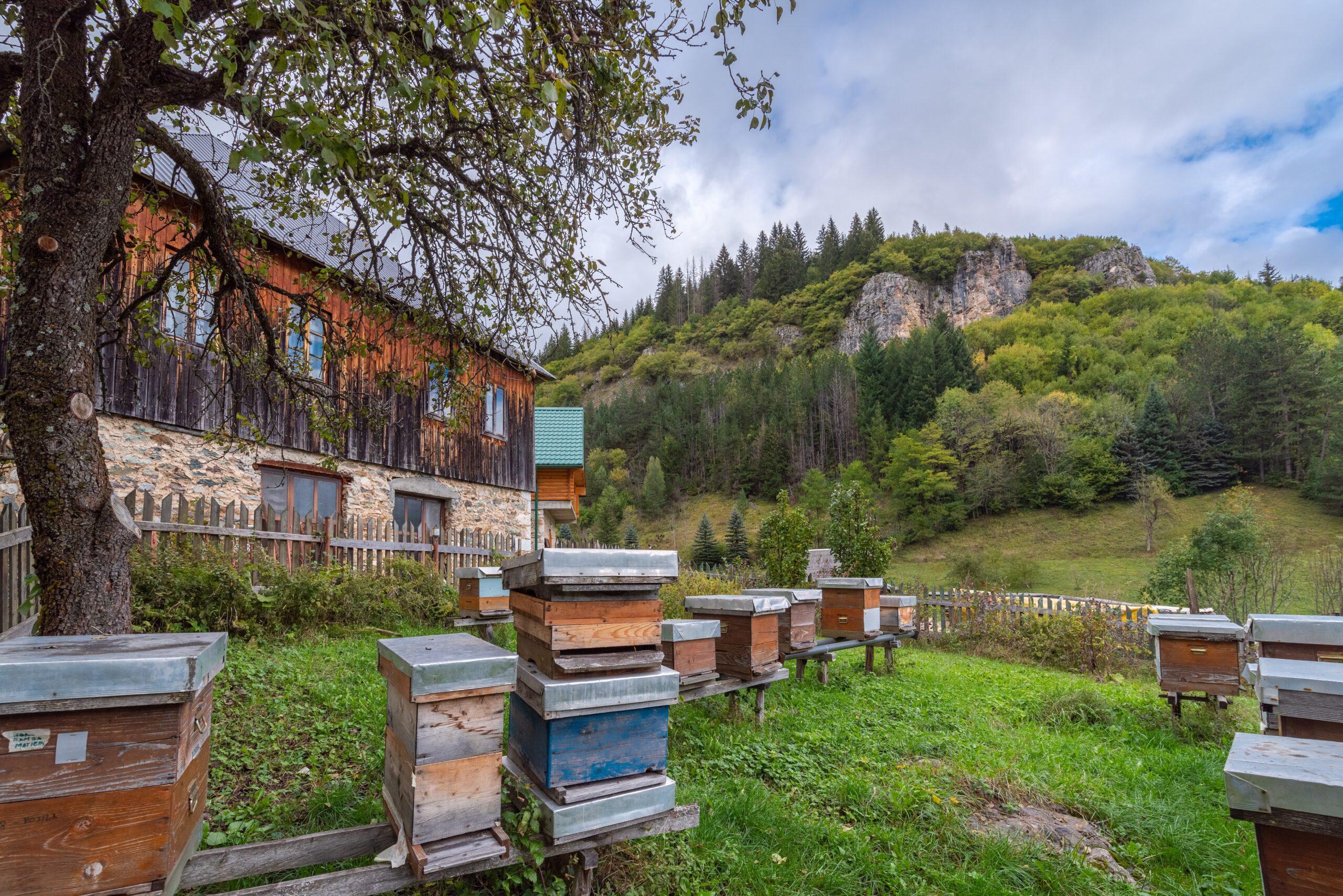 Galerija fotografija