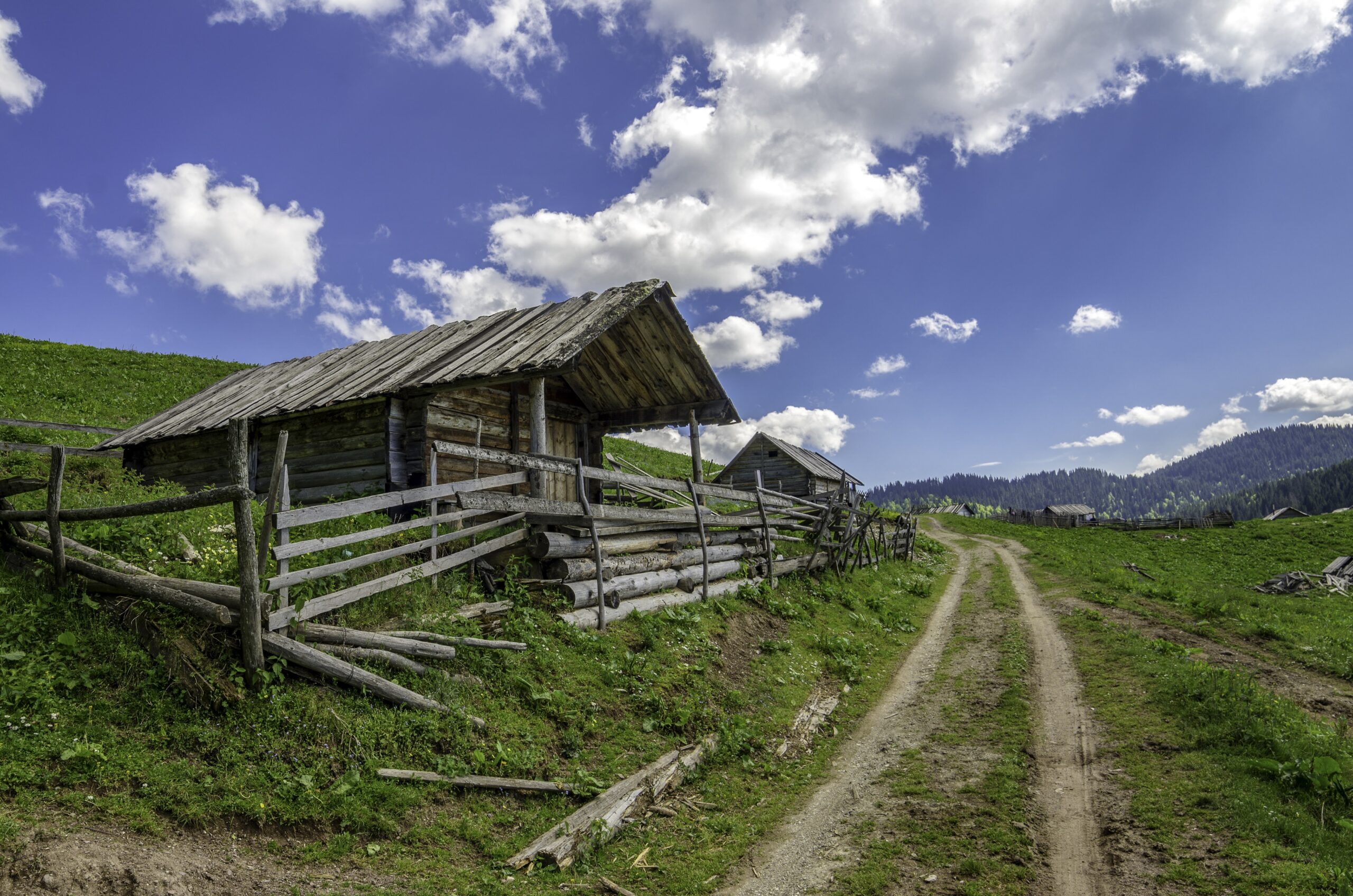 Galerija fotografija