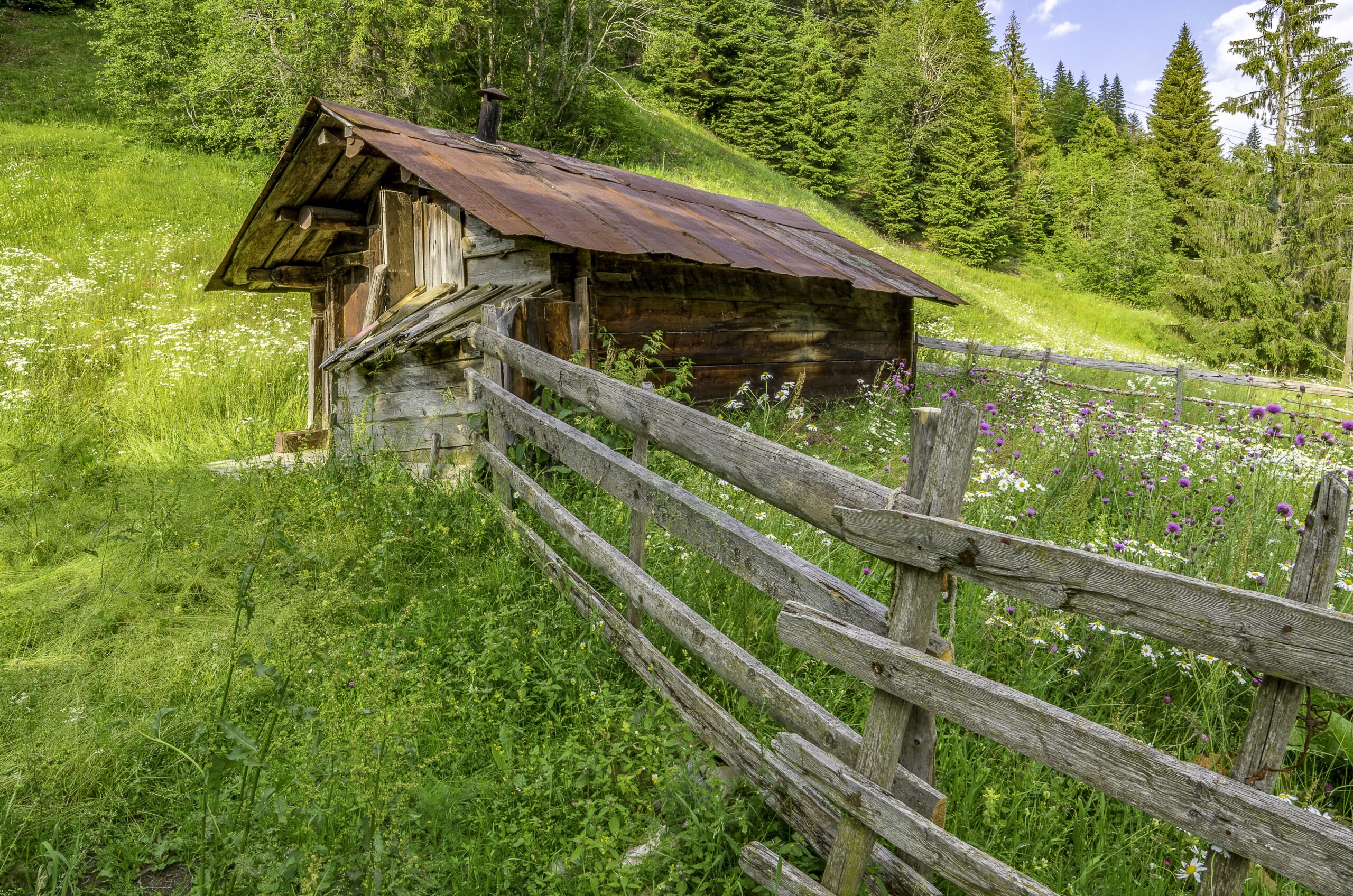 Galerija fotografija