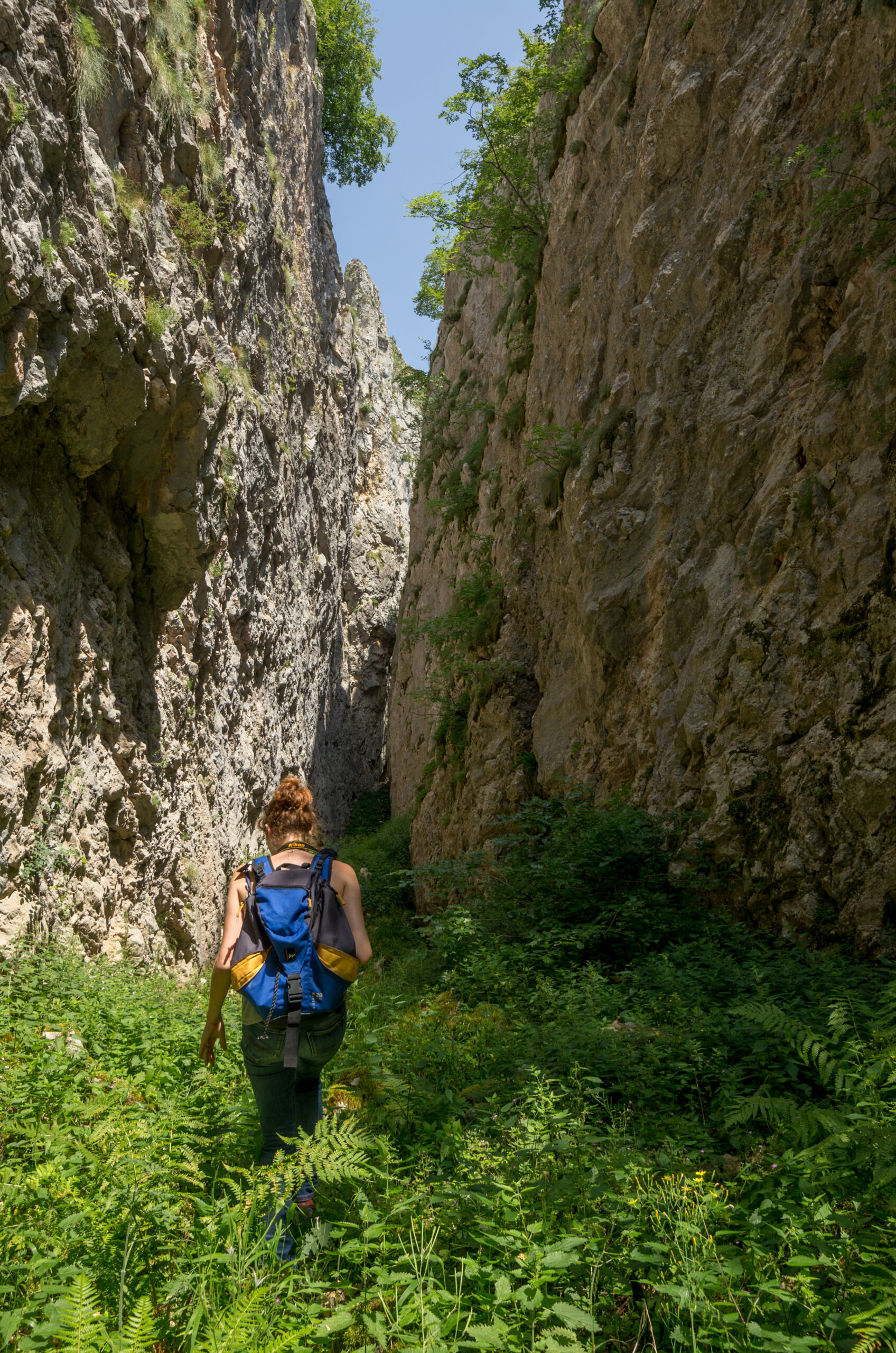 Galerija fotografija