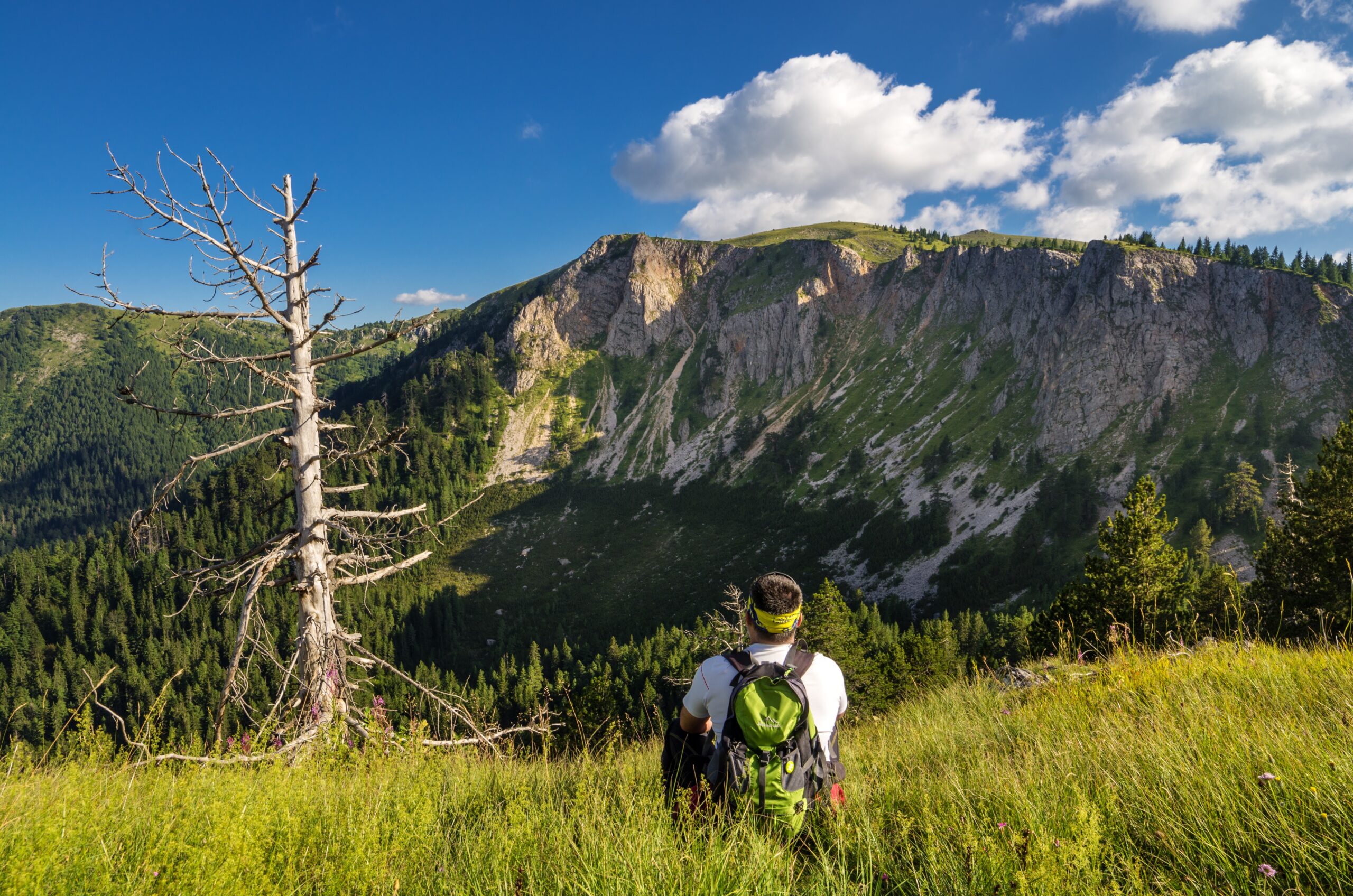 Galerija fotografija