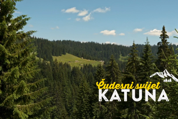 Čudesni svijet katuna: Tradicija koja se čuva za budućnost