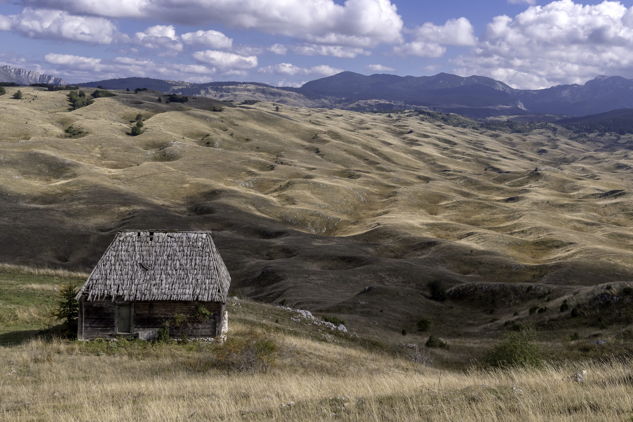 Galerija fotografija 2