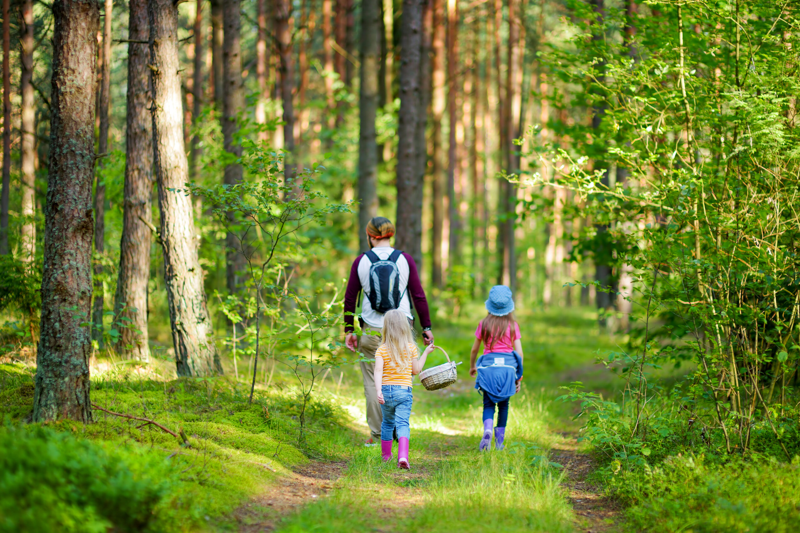 Galerija fotografija 4