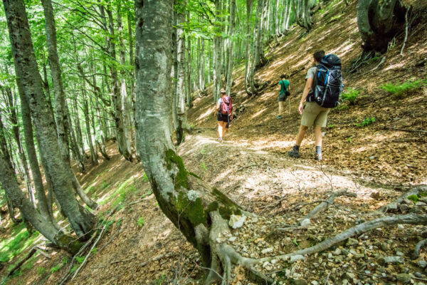 Galerija fotografija 6