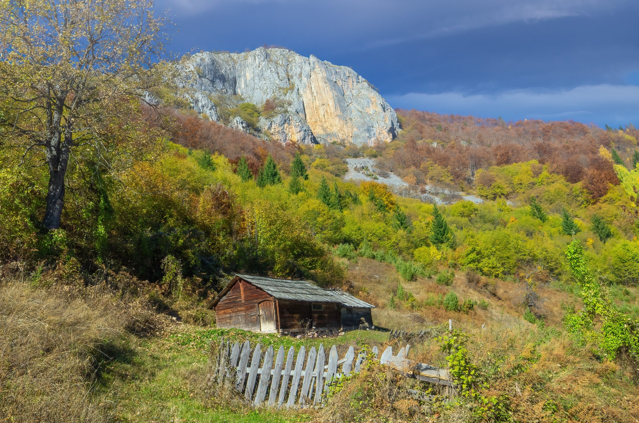 Galerija fotografija