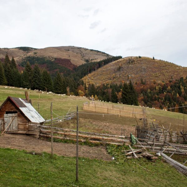 Nova turistička ponuda na vidiku: Katunski put „Neispričana Bjelasica“